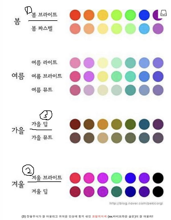 [강남/이안컬러랩] 퍼스널컬러 ::봄웜 브라이트 진단 리뷰