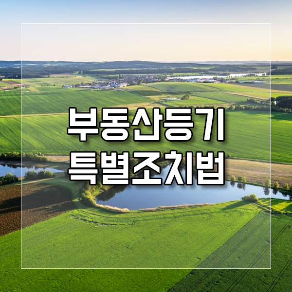  부동산 등기 특별 조치법 / 8월 4일까지 신청 서두르세요~