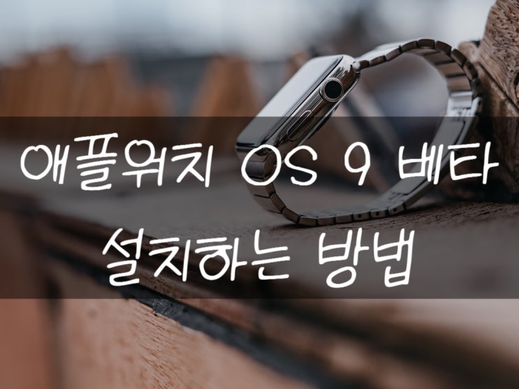  애플워치OS9 베타 다운로드 하는 방법