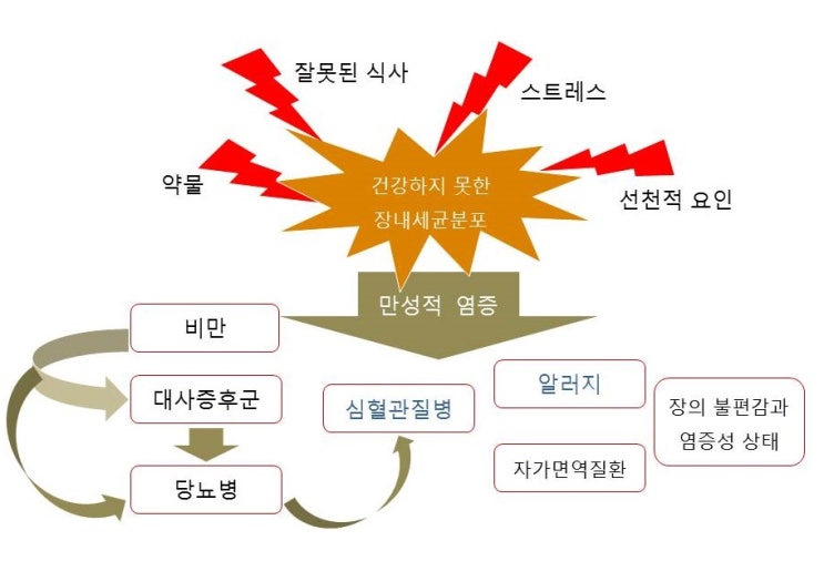  비만과 염증반응, 아디포넥틴(adiponectin), 아디포카인(adipokine), 암발생과 운동
