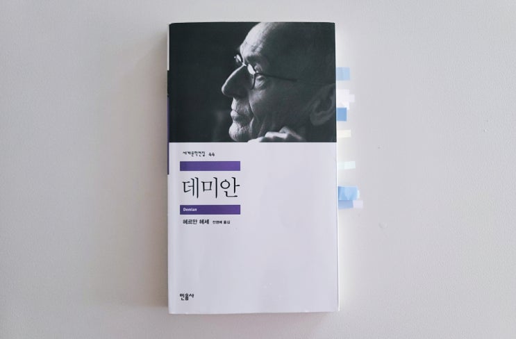  [데미안] 싱클레어의 내적성장을 다룬 고전소설 (ft.줄거리 & 헤르만 헤세 명언)