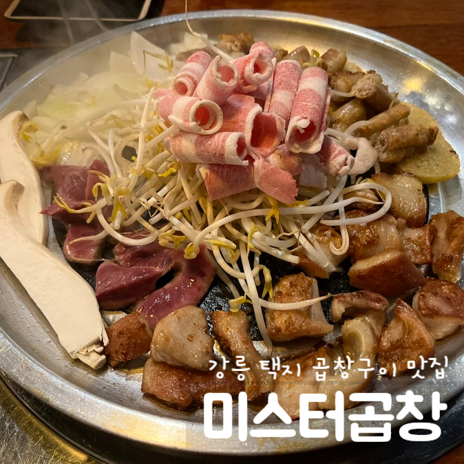 강릉 미스터곱창 [ 강릉 곱창맛집 ] 깔끔한 곱창맛집을 원한다면 여기로!