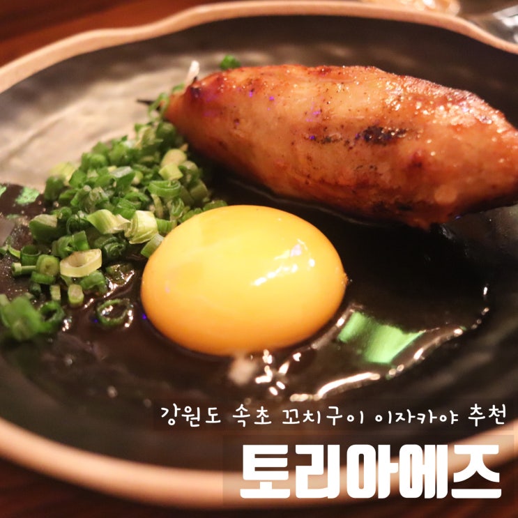  속초 토리아에즈 [ 속초 이자카야 술집 ] 숯불수제꼬치구이 속초맛집 속초술집