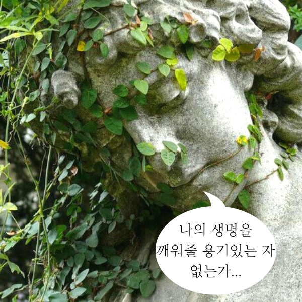  좋은 짧은 추천 외국시 모음: 릴케 시 "내 눈의 빛을 꺼주소서" ,365일 오늘의 유명한 짧은 인생 감동명언 모음 , 웃긴 말풍선짤.동물밈