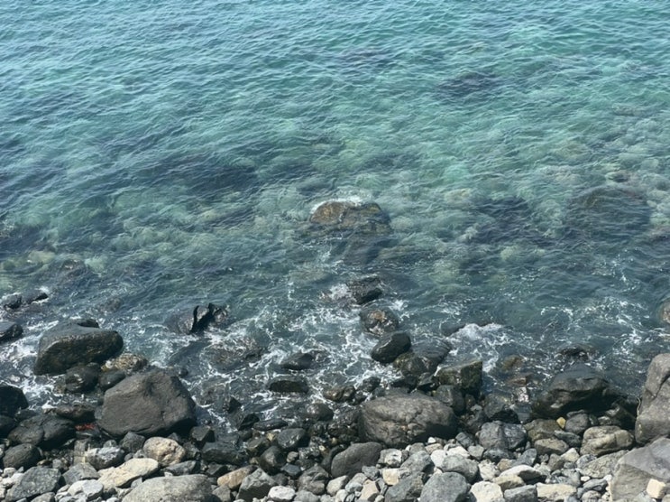  부산 해운대여행 2박 3일(2022.07.15 - 2022.07.17) _1일차