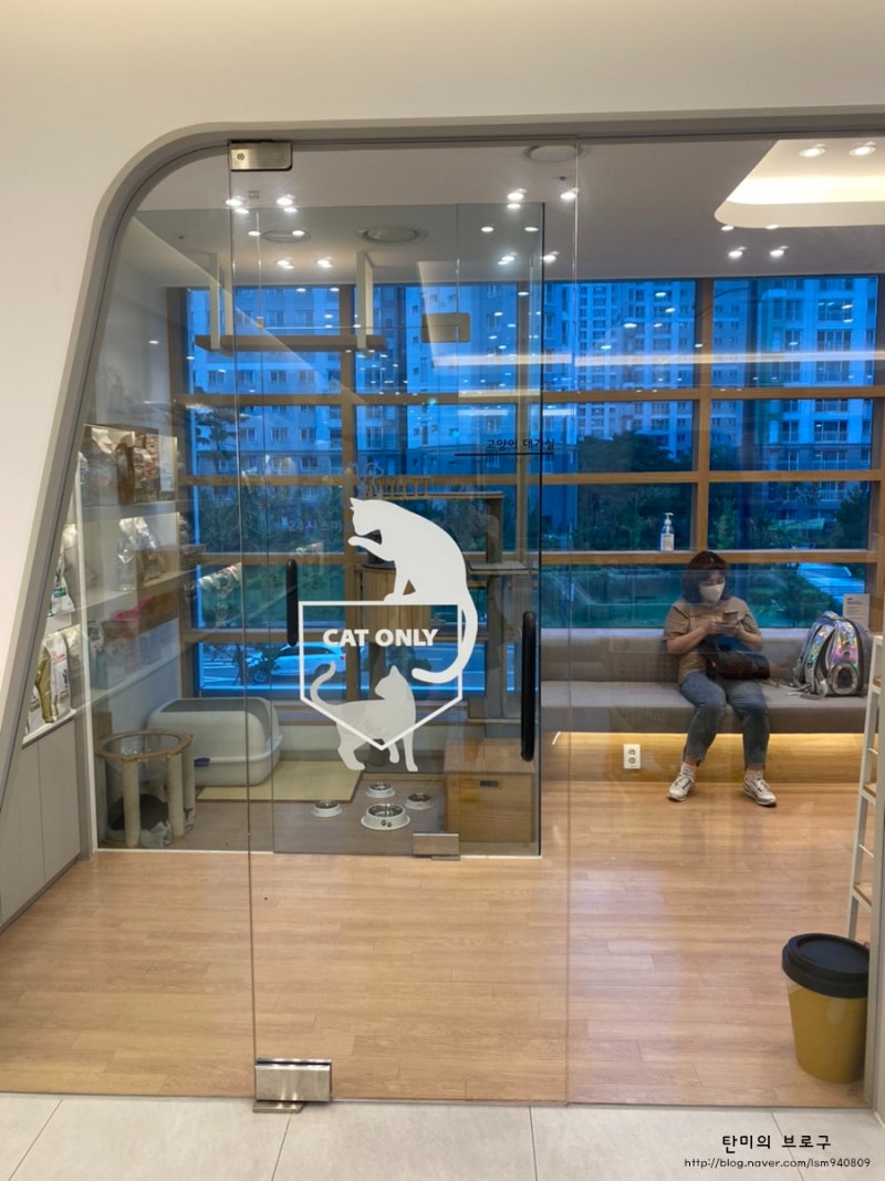 애견미용/애견돌봄(산책) 도그케어 (@dogcare333) • Instagram photos and videos, image size:800x1067