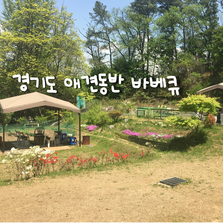  경기도 애견동반 바베큐 장소 모음.zip