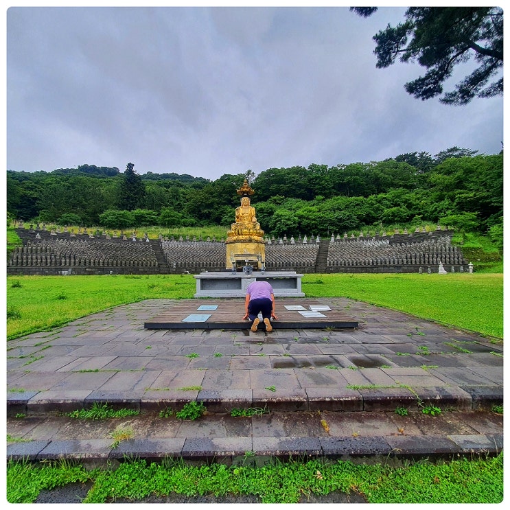 부처님오신날 가볼만한곳 제주도 사찰 한라산 중턱에 자리한 제주 관음사 한라산 관음사 코스