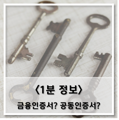  [정보] 금융인증서? 공동인증서?