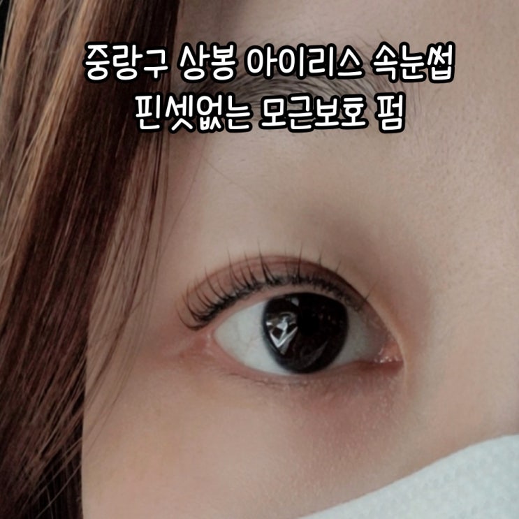  아이리스속눈썹 상봉 속눈썹: 뷰러 필요 없는 중랑구 속눈썹