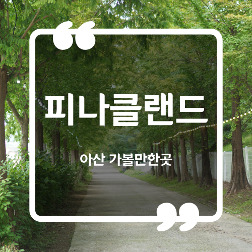  아산 가볼만한곳 - 피나클랜드 입장료 입장시간 주차장
