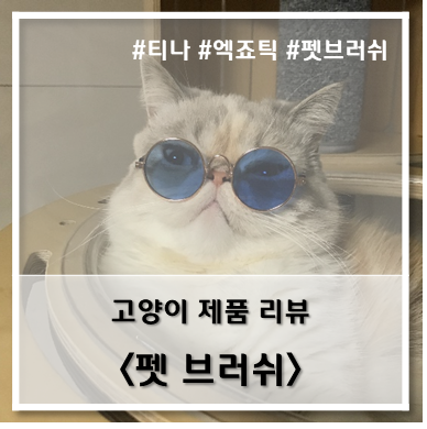  [제품 리뷰] 펫 브러쉬