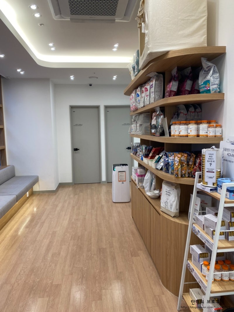 유기견 보호소 통합의 위기와 대안 | TikTok, image size:800x1067