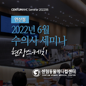  연산점 / 2022년 6월 수의사 세미나 현장스케치 (24시 센텀동물메디컬센터 연산점)