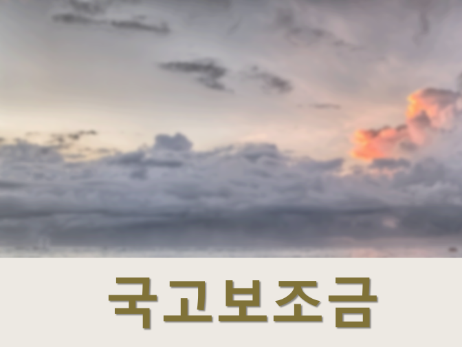 [e나라도움] 국고보조금 종류 및 신청하는 방법