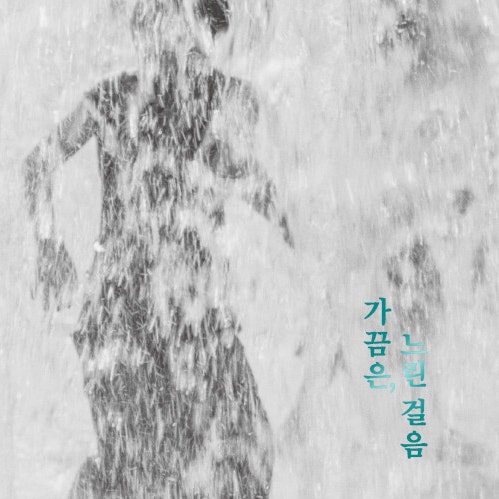  일상의 풍경 소소한 추억들, 책 가끔은 느린 걸음 도서 리뷰