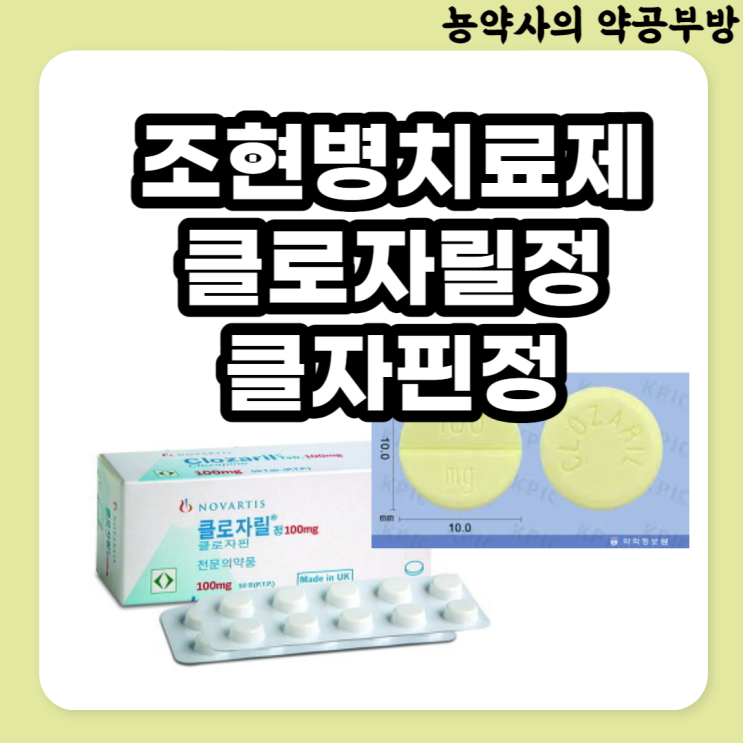  클로자릴정, 클자핀정 (성분명 : 클로자핀) (저항성 조현병치료제, 부작용)