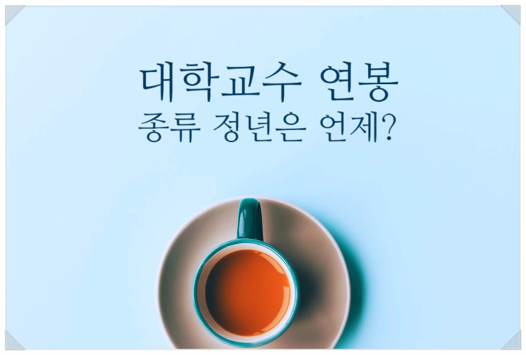  대학교수 연봉 종류 대학병원 의대 국립대 월급 석좌교수 정년은 언제?