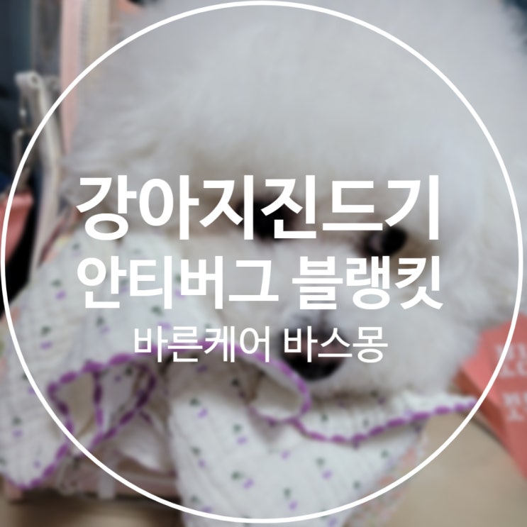  강아지 해충 방지 안티 버그 블랭킷