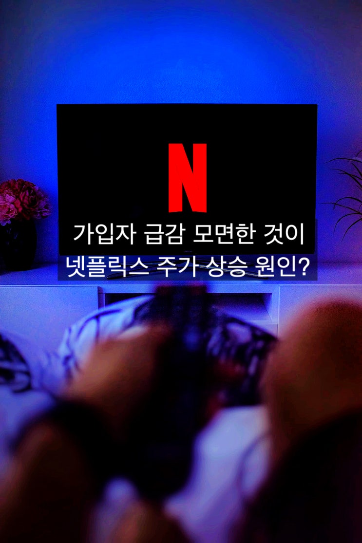  [넷플릭스] 넷플릭스 최악의 시나리오를 벗어난 것이 주가 상승 호재라고?