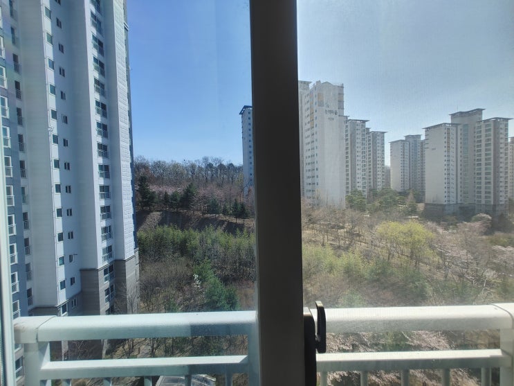  수원 아파트썬팅 정자동 화서동 고등동 아파트 베란다창문 열차단썬팅 햇빛차단썬팅 단열필름썬팅 시공
