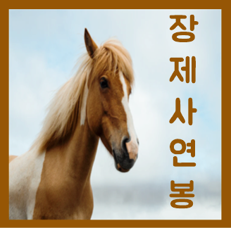  장제사 연봉 초봉 월급 수입 및 자격증 알아봐요