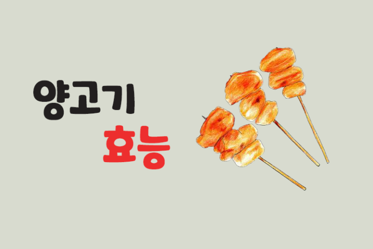  양고기 효능