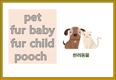 fur baby, fur child, pooch 반려동물 영어 표현