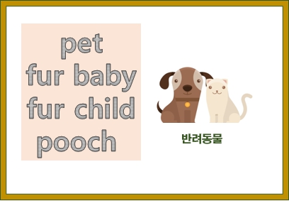  fur baby, fur child, pooch 반려동물 영어 표현