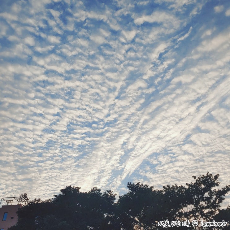 2022.07.11 ~ 17 기록 2022.07.11 ~ 17 기록