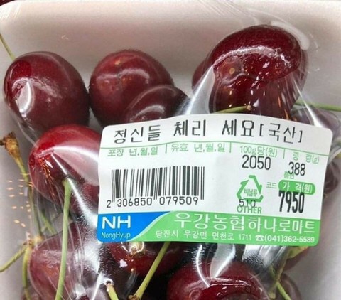  정신들 체리 세요