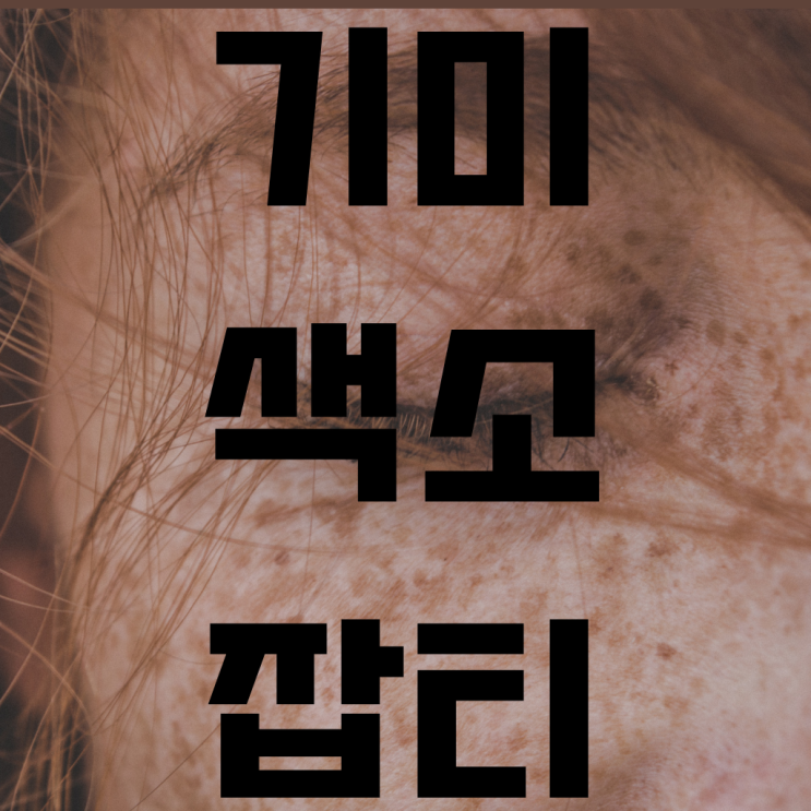  기미,색소,잡티 파헤쳐 보기
