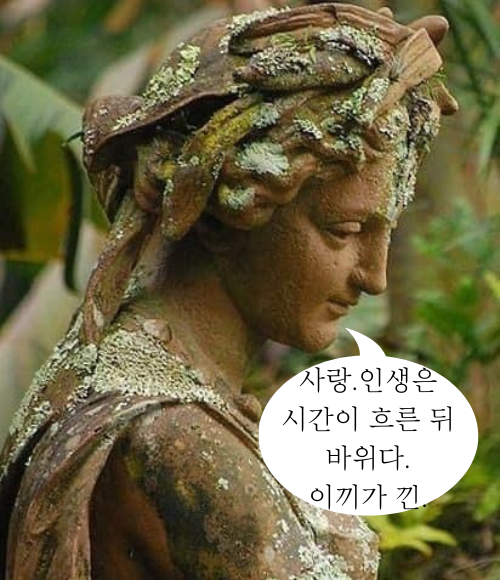 좋은 짧은 추천 외국시 모음:로제티 시 "노래" ,365일 오늘의 유명한 짧은 인생 감동명언 모음 ,웃긴 말풍선짤.동물밈