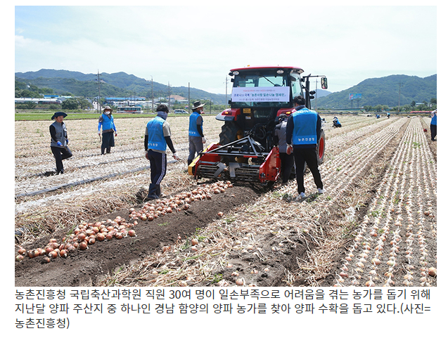 농식품부, 본격 수확기 대비해 농촌 인력지원 대책 추진(고용허가제 외국인 근로자 신속 입국도 추진)_농림축산식품부 농식품부, 본격 수확기 대비해 농촌 인력지원 대책 추진(고용허가제 외국인 근로자 신속 입국도 추진)_농림축산식품부