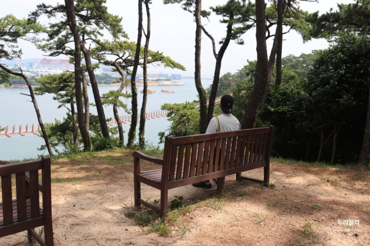  울산 가볼만한곳 대왕암공원 출렁다리 - 전설바위길 - 거북바위 #1