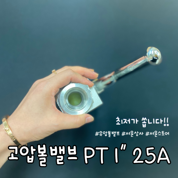  고압볼밸브 PT1 25A :: 최저가 쏩니다!