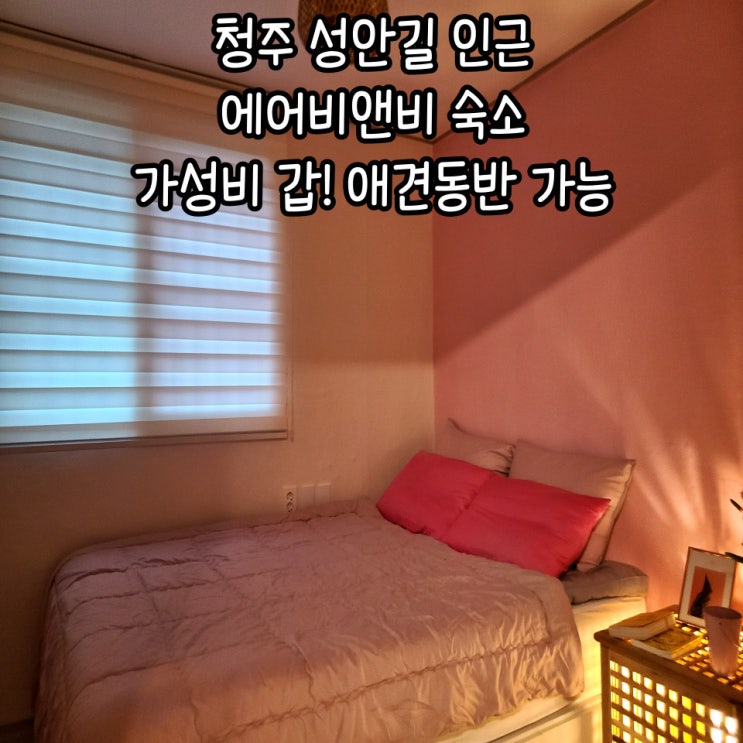  청주 숙소 에어비앤비 성안길 인근 : 애견동반 숙소