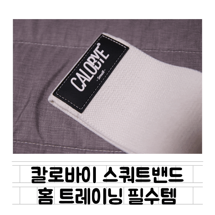 [생활] 칼로바이 힙밴드 / 스쿼트밴드 : 홈트레이닝 필수템