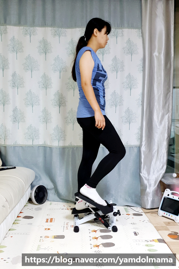  계단오르기운동기구 이고진 스텝퍼 7320로 다이어트하기