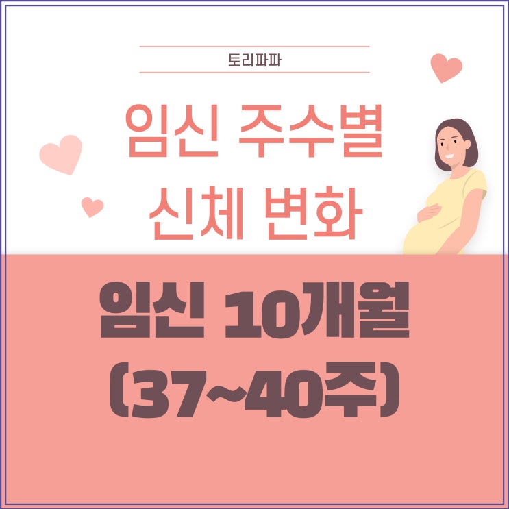 임신 주수별 신체 변화 임신 10개월(37~40주)