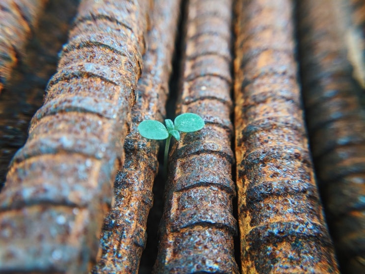 과연 바닥을 찍은 것일까. 반등의 새싹은 피어나는건지. 지수 및 주요종목 흐름 확인 과연 바닥을 찍은 것일까. 반등의 새싹은 피어나는건지. 지수 및 주요종목 흐름 확인