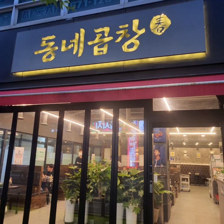  (내돈내먹) 대전 관평동 맛집 동네곱창