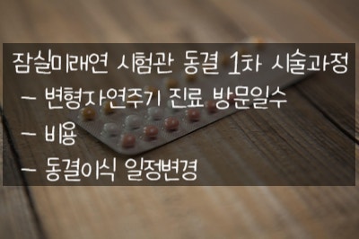  14. 잠실미래연 시험관 2차, 동결 1차 시술과정 - 변형자연주기 진료 방문일수, 비용, 동결이식 일정변경