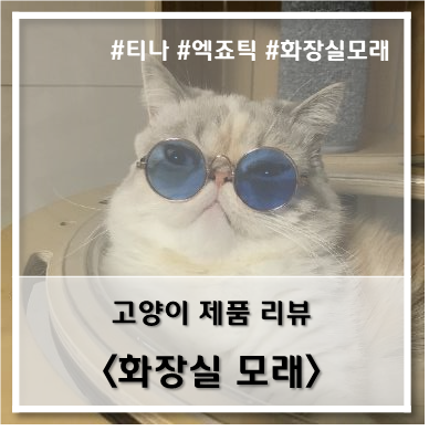 [제품 리뷰] 고양이 화장실 모래