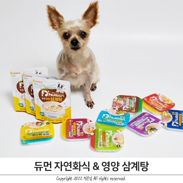 강아지사료 듀먼 자연화식과 영양삼계탕으로 방이 여름나기 강아지사료 듀먼 자연화식과 영양삼계탕으로 방이 여름나기
