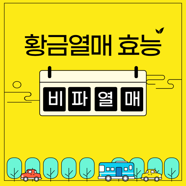 비파나무 효능 비파열매 효소 만드는법 부작용주의 비파나무 효능 비파열매 효소 만드는법 부작용주의