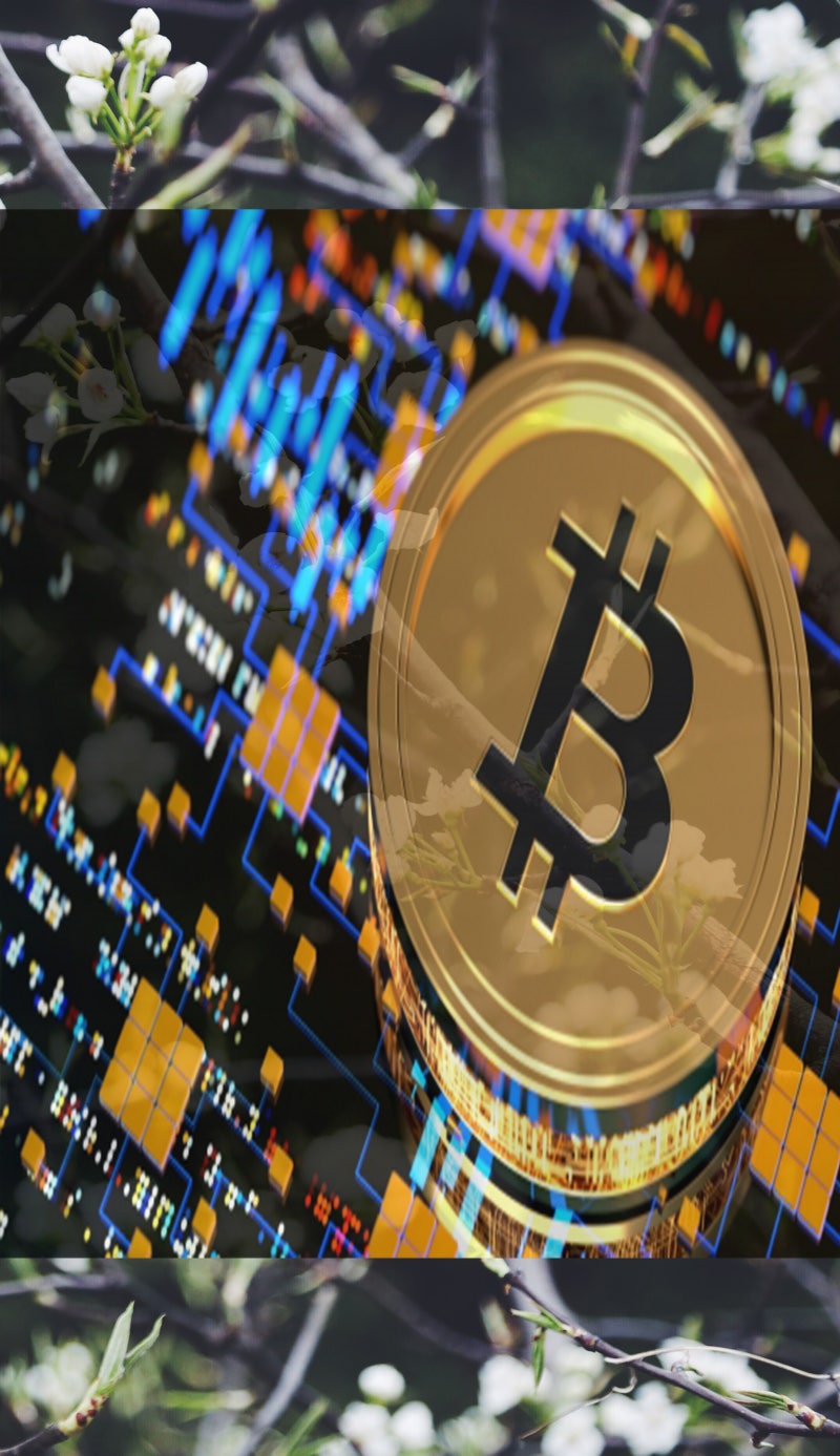 비트코인 관련주 우리기술투자 FSN 다날 비덴트 카카오 위지트 한화투자증권우 주가 주목 : 네이버 블로그