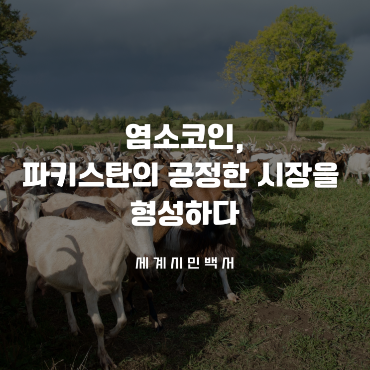 염소코인, 파키스탄의 공정한 시장을 형성하다
