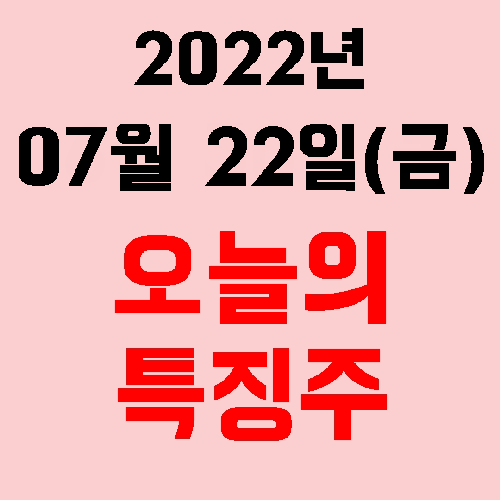  오늘의 시장 특징주 2022년 07월 22일(금)