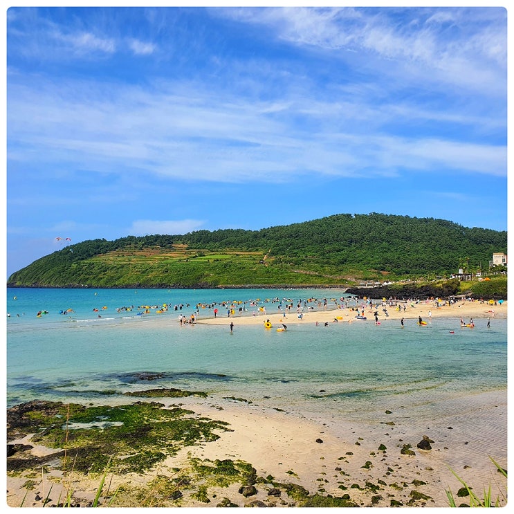  제주도 함덕 놀거리 함덕 돌핀 수상 레저 여름철 피서지 제주 함덕해수욕장